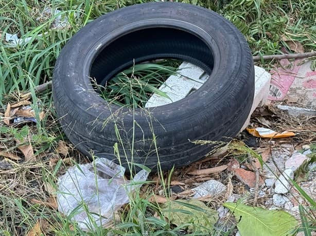Vecinos se quejan por basurero clandestino en la colonia Formando Hogar, en Veracruz