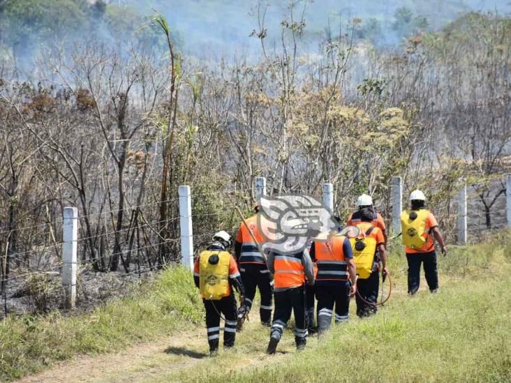 Incendio de pastizal pone en alerta a bomberos de Ixtaczoquitlán (+Video)