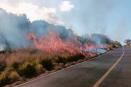 Se registran dos incendios forestales en Alto Lucero