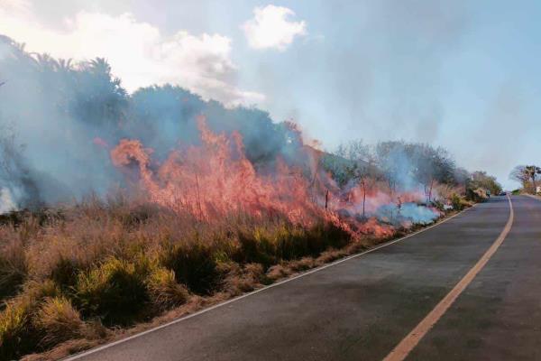 Se registran dos incendios forestales en Alto Lucero