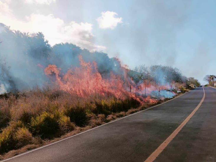 Se registran dos incendios forestales en Alto Lucero