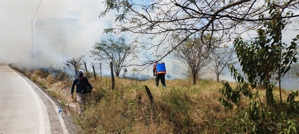 Se registran dos incendios forestales en Alto Lucero