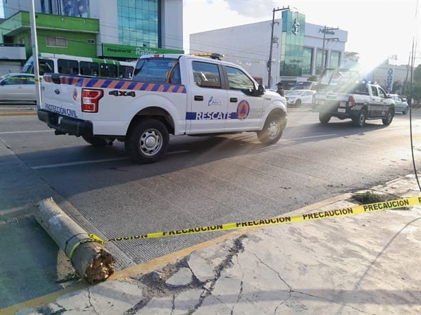 Autobús de pasajeros derriba poste en Veracruz y casi provoca una tragedia | VIDEO