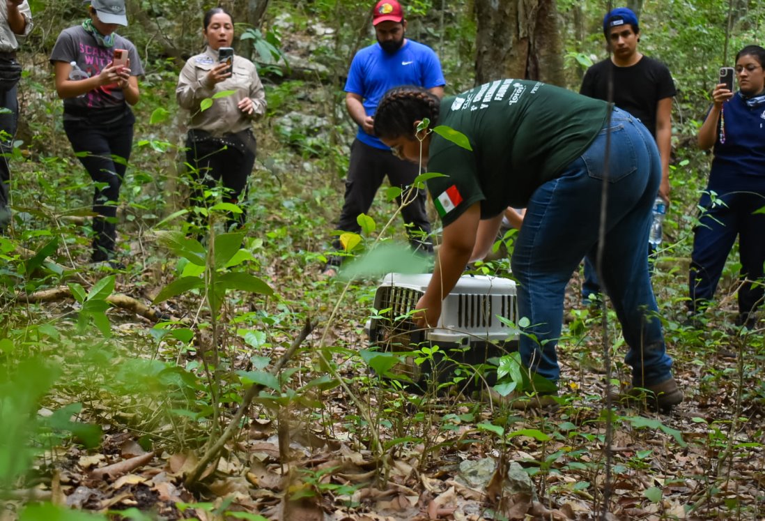 Refugio Earth Mission requiere apoyo para proteger vida silvestre en Veracruz