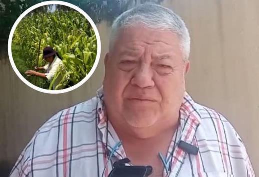 No a transgénicos, sí a salud y soberanía alimentaria: Manuel Huerta (+Video) 
