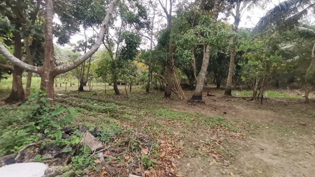 Tras derrame de hidrocarburo esta zona de Nanchital se convierte en deposito de desechos contaminantes