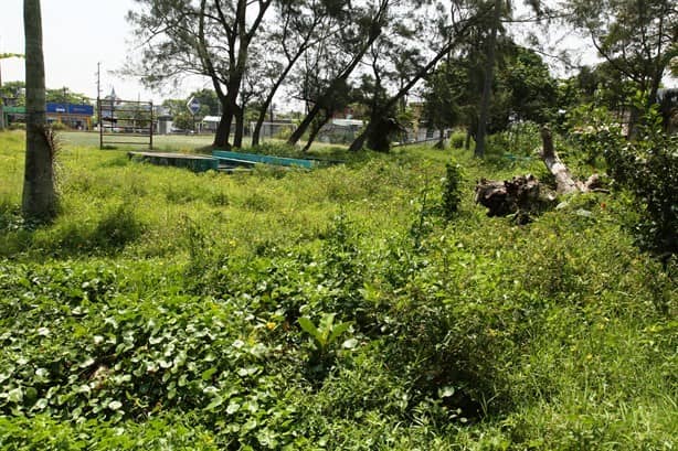 En malas condiciones La Noria, importante punto de abasto de agua en Coatzacoalcos