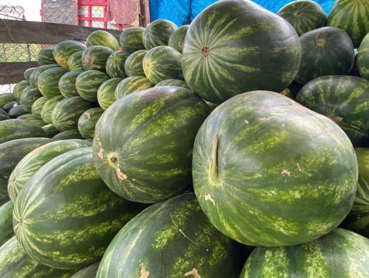 Esto cuesta la sandía-calabaza de los menonitas en el sur de Veracruz