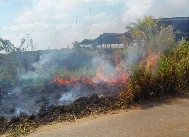 Vecinos de la colonia Las Águilas afectados por quema de pastizales