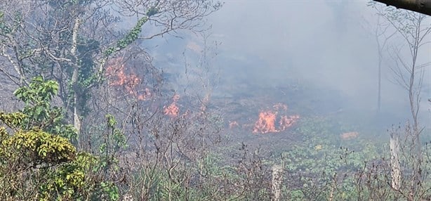 ¡Cuidado! Incendio bloquea la visibilidad en la carretera Xalapa-Alto Lucero