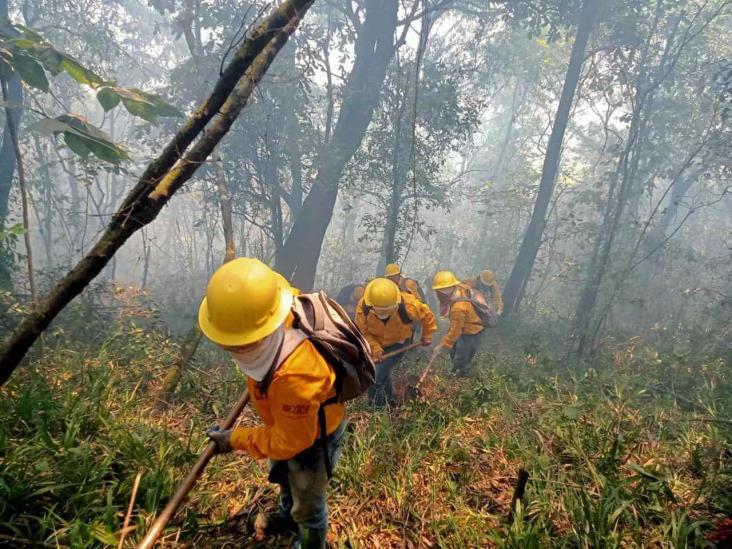 Incendio en Río Blanco, controlado en un 70 %: SPC Veracruz