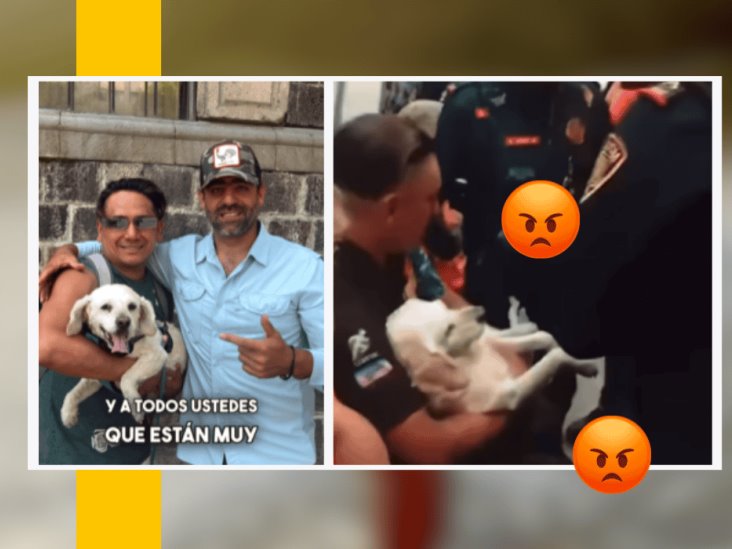 Por VIDEO VIRAL de dueño de perro enfermo sacado del metro, reciben ayuda de ex conductor de Survivor México