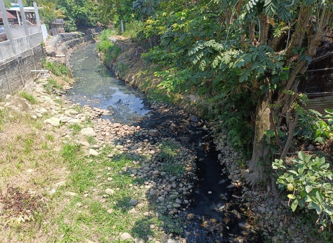 Altas temperaturas aumentan pestilencia en el arroyo Nexmegata 