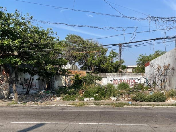 Denuncian que terreno baldío en Veracruz es usado como motel