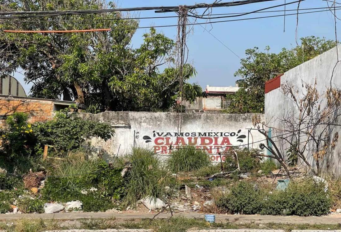 Denuncian que terreno baldío en Veracruz es usado como motel