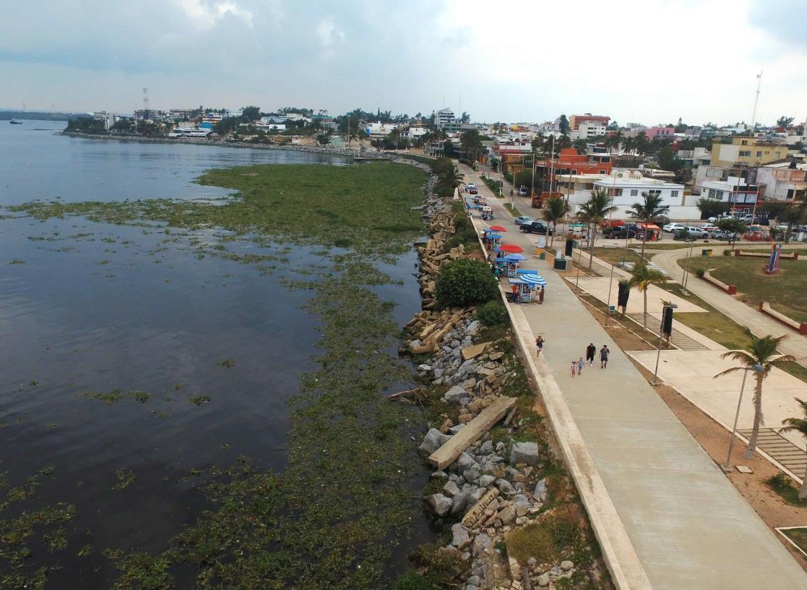 Prohibido consumir agua del río Coatzacoalcos; biólogo explica los motivos