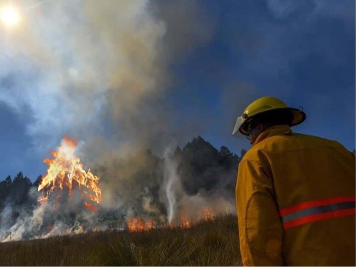 Figura Veracruz en primeros lugares por incendios forestales