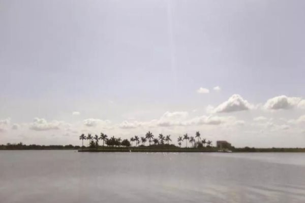 Esta es la fecha en que terminará la primera ola de calor