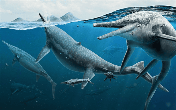 Descubrimiento asombroso: Niña de 11 años halla restos del reptil marino más grande del mundo