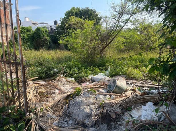 Ocupan terreno baldío en Veracruz para tirar basura y "echar pasión"