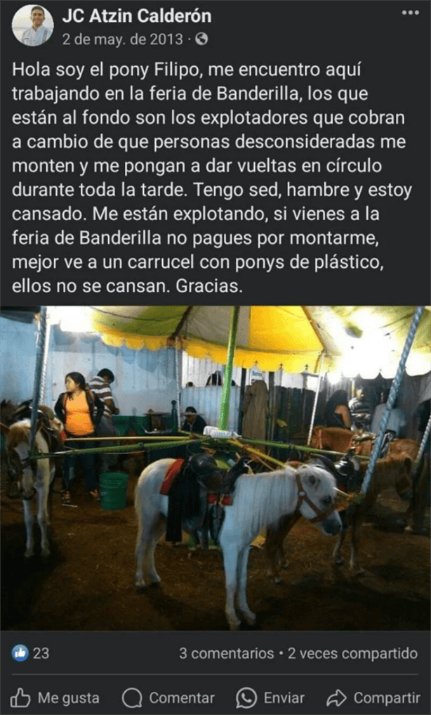 Feria de Banderilla 2024: denuncian el uso de estos animales como atracción