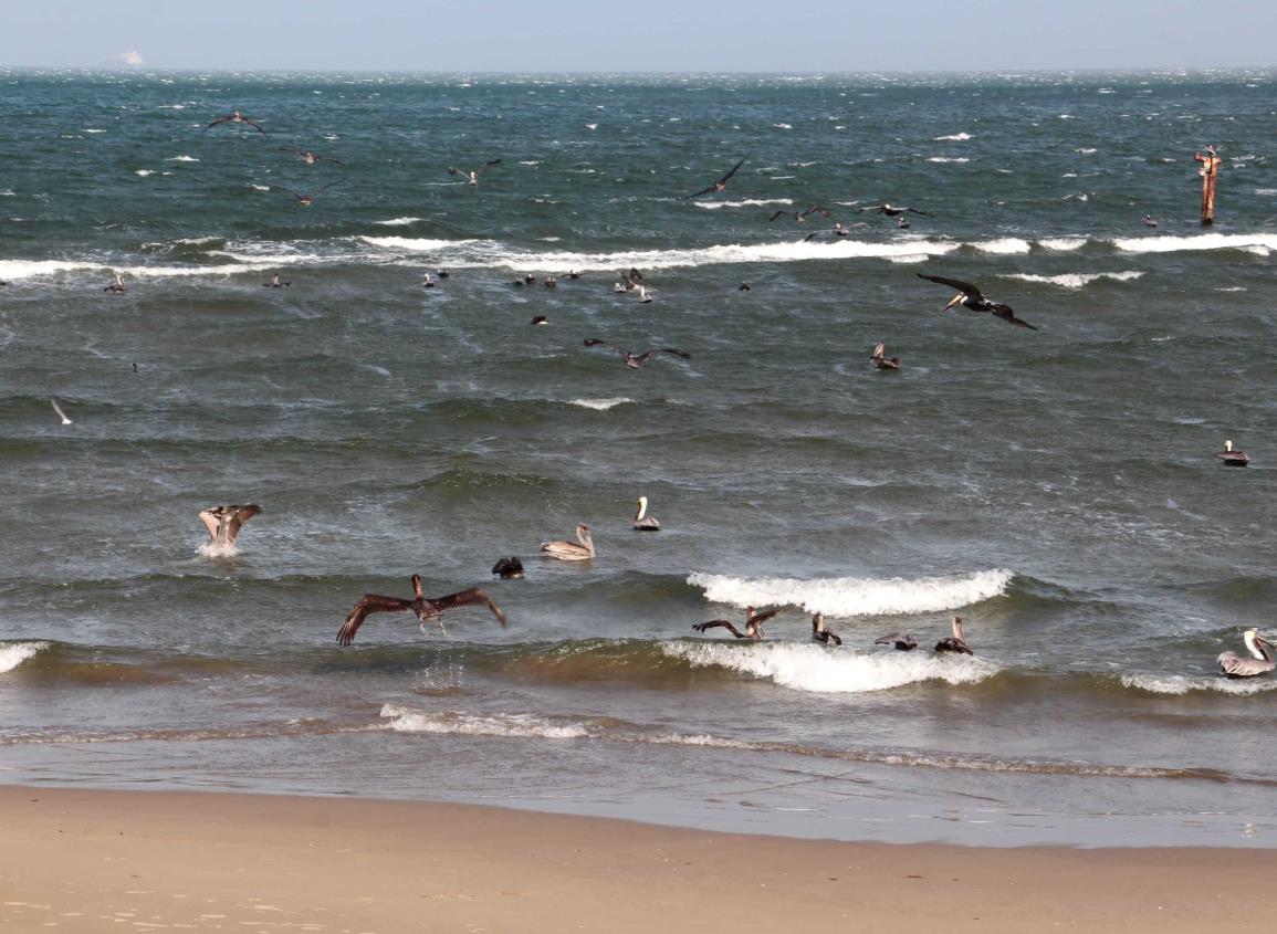 Frente Frío 47: ¿qué día y a qué hora ingresará a Coatzacoalcos?