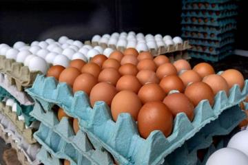 ¿Por qué ha subido el precio del huevo en Veracruz?