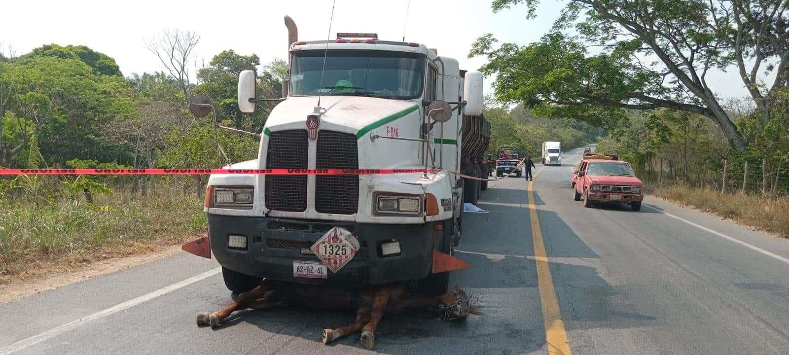 Muere mayoral junto a su yegua arrollados por trailer en Jesús Carranza 