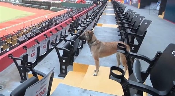 ¿La conoces?; ella es Sky Aguilar, la guardiana del Estadio Beto Ávila