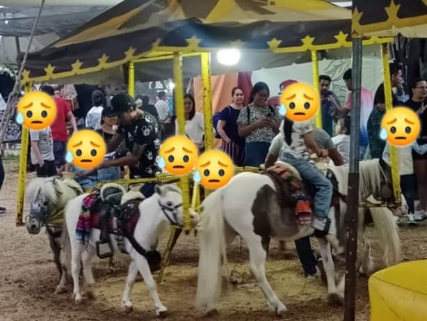 Animales son explotados en la Feria de Banderilla; reportan muerte de un borrego