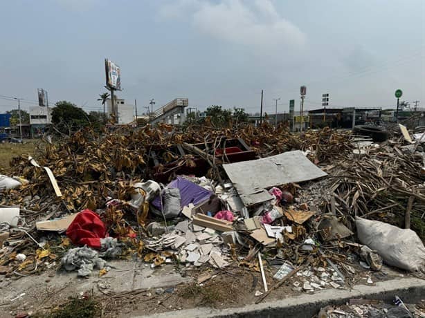 Terrenos baldíos son basureros clandestinos en Veracruz