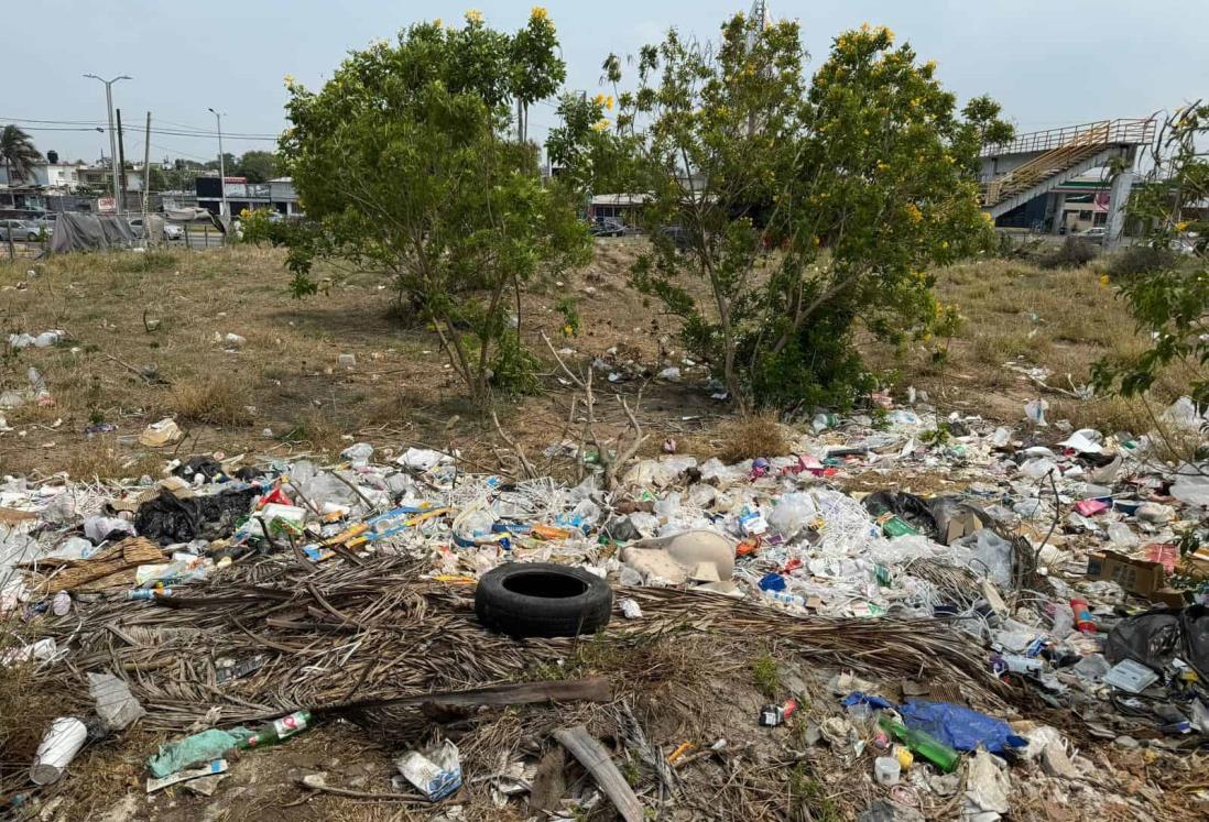 Terrenos baldíos son basureros clandestinos en Veracruz