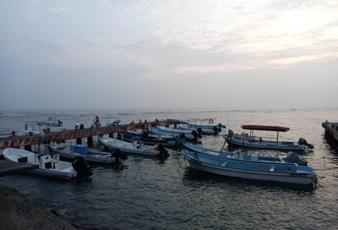 Frente Frío trajo arribazón en las costas de Veracruz, celebran los pescadores