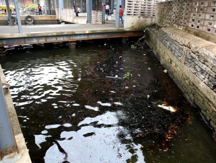 Amanece río Coatzacoalcos contaminado con hidrocarburo | VIDEO