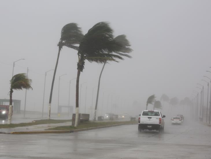 Frente Frío 47: esta semana impactará con norte de hasta 80 km/h en estas zonas