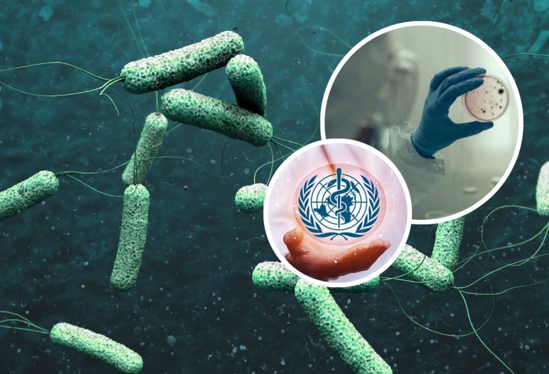 Alerta OMS por nuevo brote de cólera a nivel mundial