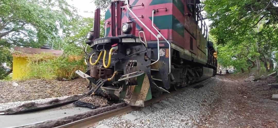 Por este motivo, casi se descarrila un tren en Córdoba