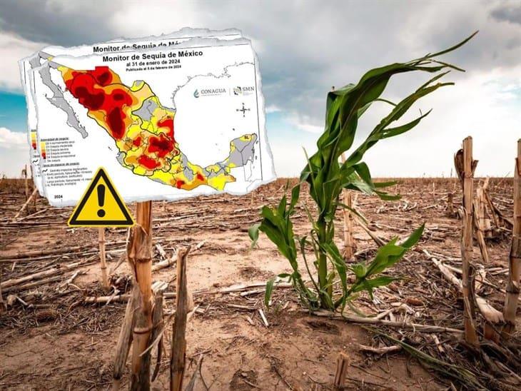 Mapa de estados con niveles extremos y excepcionales de sequía; ¡checa!