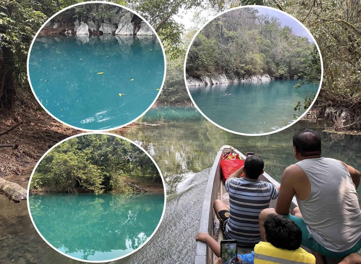 El Ojo de la Gringa, un cenote en la selva del sur de Veracruz; así puedes llegar