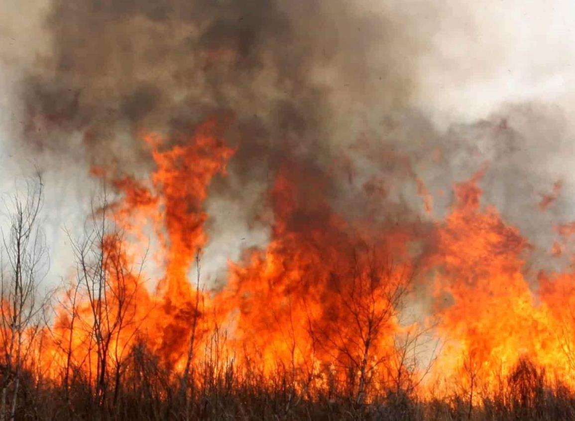 Incendios forestales y estiaje en Veracruz