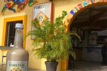Anuncian Festival del Torito en Boca del Río; fecha y lugar