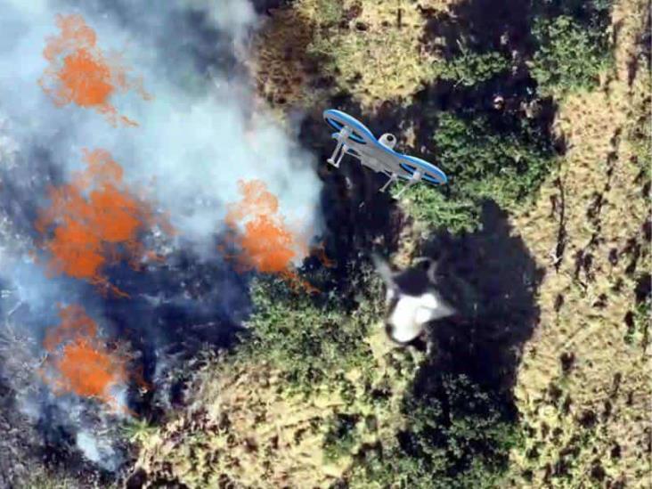 En este estado narco causa incendios con drones en áreas protegidas