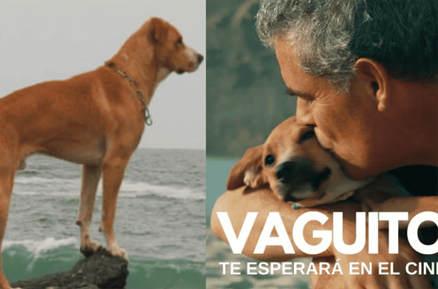 ‘Vaguito la película del Hachiko Peruano de la que todos están hablando