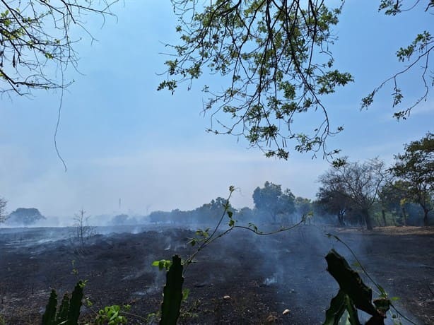 Protección Civil combate tres incendios de pastizales en Úrsulo Galván