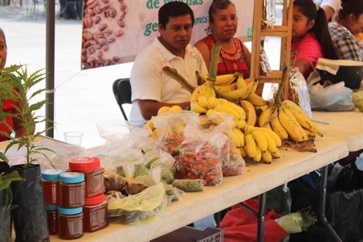 Estiaje ha impactando severamente al campo en Misantla 