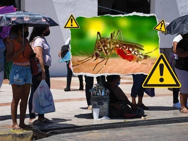 Dengue en México: ¿cuándo es la temporada y cómo protegerse? 