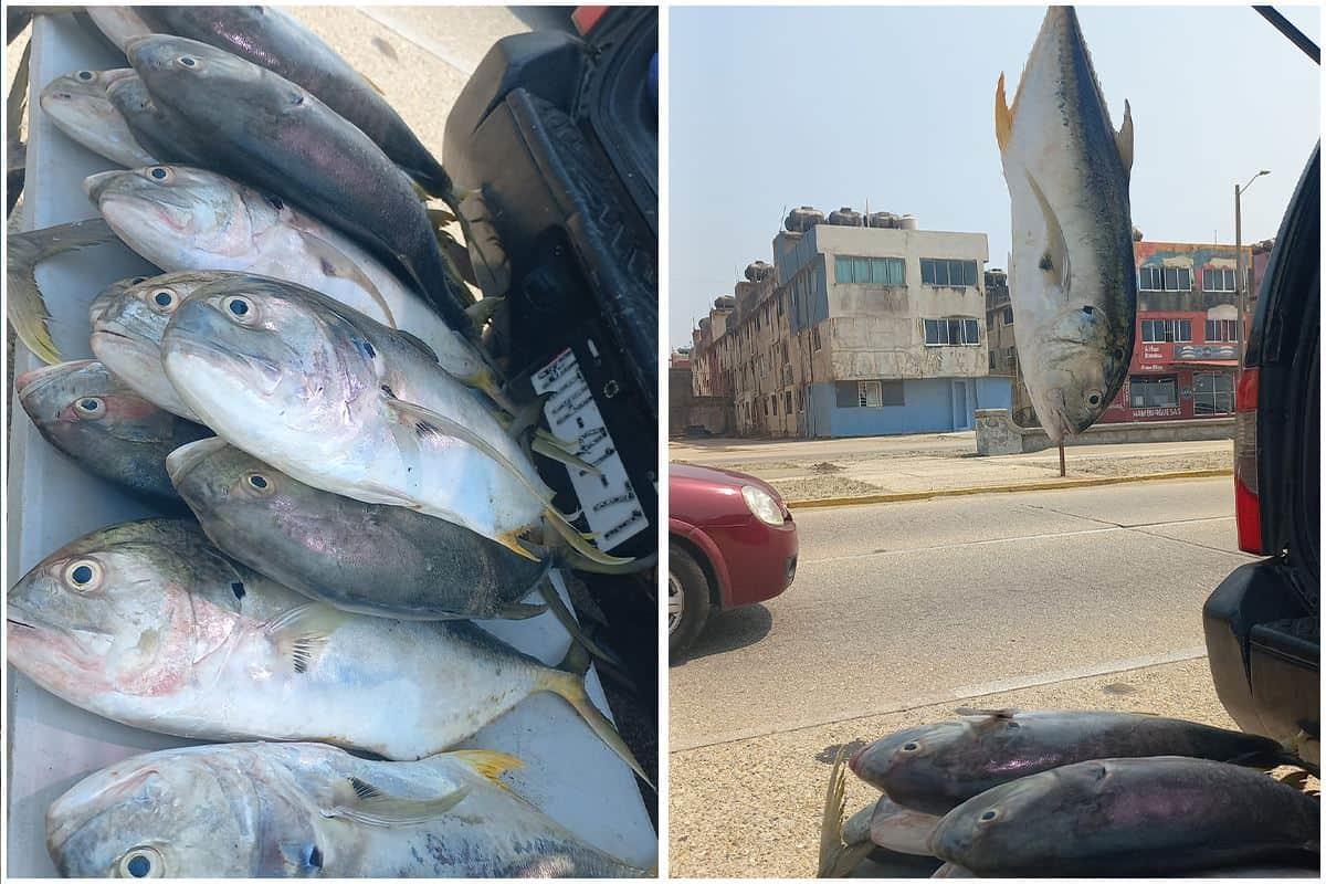 En este lugar del puerto de Coatzacoalcos venden pescado fresco y barato