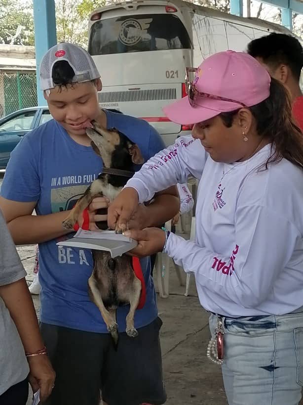 Registran a sus mascotas en Úrsulo Galván, Veracruz