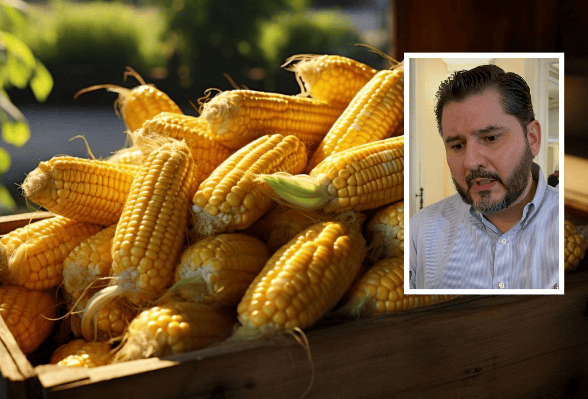 Productores de maíz demandan mayor seguridad en la zona rural de Veracruz