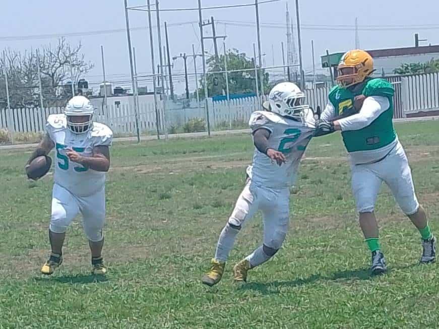 Delfines  de Coatza aplasta al campeón en LEXFA